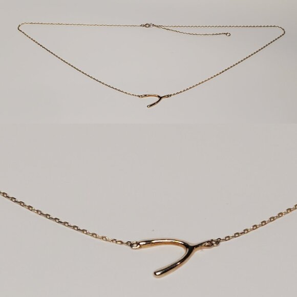 Sterling Silver Gold-Plated Wishbone Necklace - Picture 1 of 8